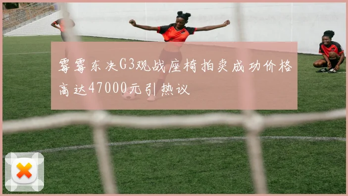 霉霉东决G3观战座椅拍卖成功价格高达47000元引热议