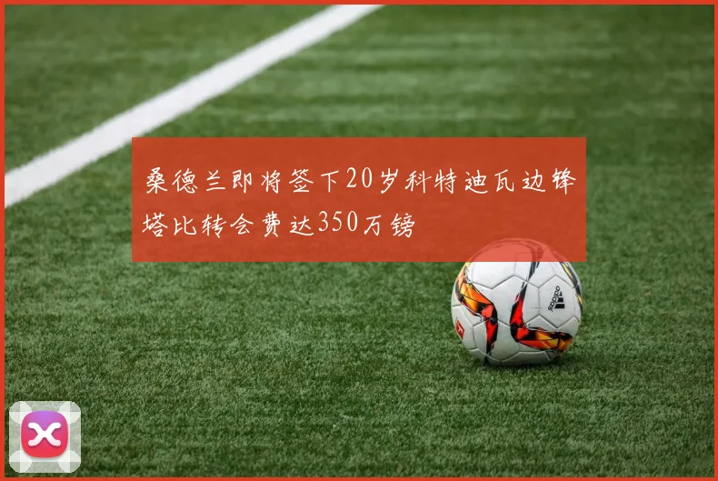 桑德兰即将签下20岁科特迪瓦边锋塔比转会费达350万镑
